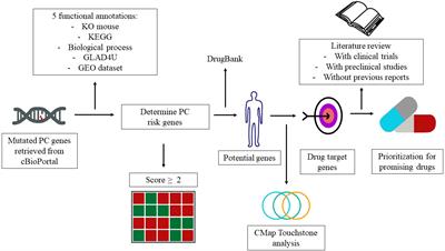 Integrated genomic analysis to identify druggable targets for pancreatic cancer